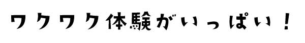 ワクワク体験がいっぱい