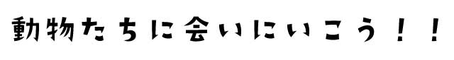 動物たちに会いに行こう